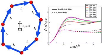 Graphical abstract: Conformations of semiflexible ring polymers