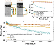 Graphical abstract: A simultaneous synergistic protection mechanism in hybrid perovskite–organic multi-junctions enables long-term stable and efficient tandem solar cells