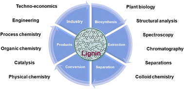 Graphical abstract: Concluding remarks: Faraday Discussion on Frontiers in physical chemistry in lignin valorization