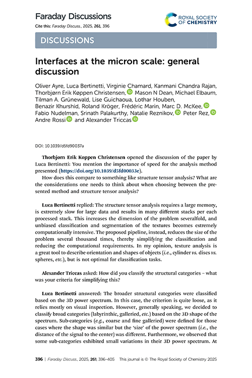 Interfaces at the micron scale: general discussion