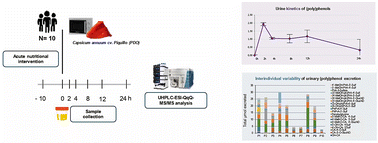 Graphical abstract: Urinary excretion kinetics of (poly)phenolic metabolites derived from the consumption of microwaved Piquillo pepper (Capsicum annuum cv. Piquillo)