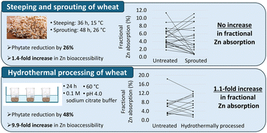 Graphical abstract: Zinc absorption from breakfast flakes produced from sprouted or hydrothermally processed wheat: a randomized cross-over human intervention study