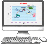 Graphical abstract: Metal bioaccumulation prediction via QSPR-q-RASPR synergy and cross-species risk analysis