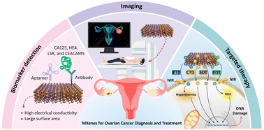 Graphical abstract: Advancing ovarian cancer care: recent innovations and challenges in the use of MXenes and their composites for diagnostic and therapeutic applications