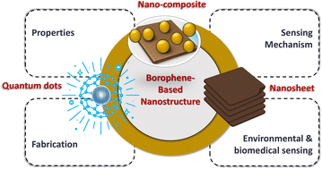 Graphical abstract: Next-generation borophene nanostructures for dual-domain sensing: from structural optimisation to biomedical and environmental applications