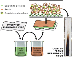 Graphical abstract: Sustainable two-step polyelectrolyte complex for flame retardant nylon-cotton fabric
