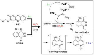 Graphical abstract: Development of real-time monitoring system for water based on chemiluminescence using chemiluminophore and photosensitizer for singlet oxygen generation