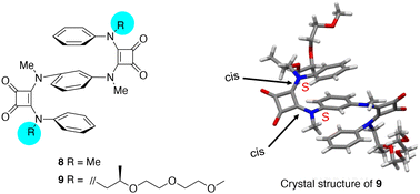 Graphical abstract: An aromatic layered foldamer based on a (cis, cis)-squaramide: chiral induction and absolute structure