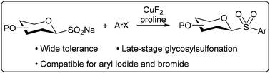 Graphical abstract: Copper-promoted late-stage glycosylsulfonylation of aryl iodide and bromide to access glycosyl aryl sulfones