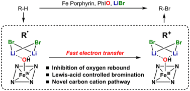 Graphical abstract: Iron porphyrin-catalyzed bromination of unactivated C–H bonds: inhibition of oxygen rebound by redox-inactive metal ions
