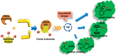 Graphical abstract: Recent advances in asymmetric C–H bond functionalization enabled by chiral directing groups