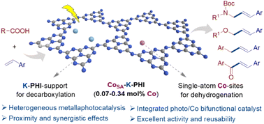 Graphical abstract: Atomically precise single-atom cobalt photocatalyst for enhanced decarboxylative cross-couplings