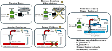 Graphical abstract: A geothermal energy techno-economic analysis for downhole wellbore hydrogen production from biogas with subsurface carbon retention
