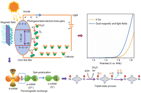 Graphical abstract: Electrocatalytic oxygen evolution reaction on LaNiO3 with tunable oxygen content under dual magnetic and light fields