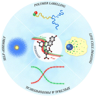 Graphical abstract: Soft nanoparticles incorporating a benzo[c]xanthene fluorophore: facile synthesis and ratiometric pH sensing