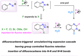 Graphical abstract: A difluorocarbene-triggered annulation/ring expansion cascade via sequential single-atom-insertions: direct assembly of 2-fluoroquinazolinones from azo compounds