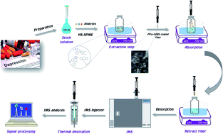 Graphical abstract: Simultaneous determination of sertraline, imipramine and alprazolam in human plasma samples using headspace solid phase microextraction based on a nanostructured polypyrrole fiber coupled to ion mobility spectrometry