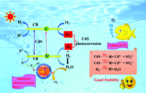 Graphical abstract: Photocorrosion inhibition of CdS-based catalysts for photocatalytic overall water splitting