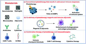 Graphical abstract: Biomaterial-assisted photoimmunotherapy for cancer