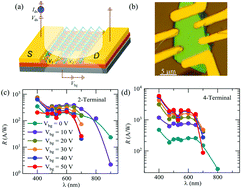 Graphical abstract: High broadband photoconductivity of few-layered MoS2 field-effect transistors measured using multi-terminal methods: effects of contact resistance