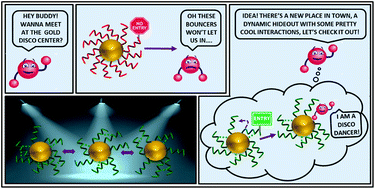 Graphical abstract: Dynamics of weak interactions in the ligand layer of meta-mercaptobenzoic acid protected gold nanoclusters Au68(m-MBA)32 and Au144(m-MBA)40