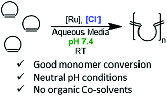 Graphical abstract: Optimization of ring-opening metathesis polymerization (ROMP) under physiologically relevant conditions