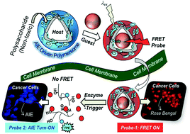Graphical abstract: An AIE-driven fluorescent polysaccharide polymersome as an enzyme-responsive FRET nanoprobe to study the real-time delivery aspects in live cells