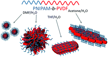 Graphical abstract: Preparation of well-defined 2D-lenticular aggregates by self-assembly of PNIPAM-b-PVDF amphiphilic diblock copolymers in solution