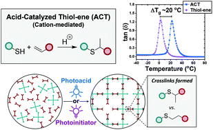 Graphical abstract: Expanding the thiol–X toolbox: photoinitiation and materials application of the acid-catalyzed thiol–ene (ACT) reaction
