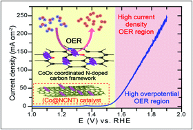 Graphical abstract: CoOx electro-catalysts anchored on nitrogen-doped carbon nanotubes for the oxygen evolution reaction