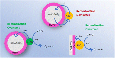 Graphical abstract: Overcoming residual carbon-induced recombination in water-oxidation catalysis: combining a superior catalyst with low-carbon-content atomic layer deposition of SnO2 for improved catalysis
