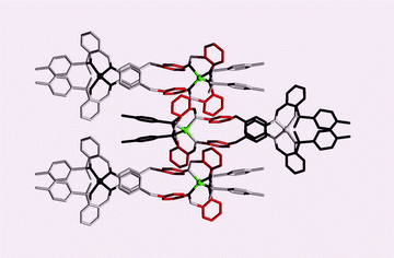 Graphical abstract: A 3D network of helicates fully assembled by π-stacking interactions