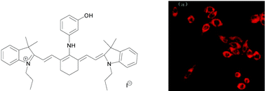 Graphical abstract: A dual near-infrared pH fluorescent probe and its application in imaging of HepG2 cells