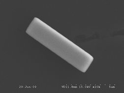 Graphical abstract: Shape-controlled electrodeposition of tin crystals from Sn(ii)-fluoroborate solutions