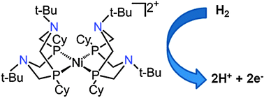 Graphical abstract: Hydrogen oxidation catalysis by a nickel diphosphine complex with pendant tert-butyl amines