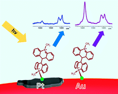 Graphical abstract: New insights on the Aucore/Ptshellnanoparticle structure in the sub-monolayer range: SERS as a surface analyzing tool