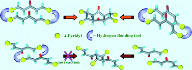 Graphical abstract: Solid state double [2 + 2] photochemical reactions in the co-crystal forms of 1,5-bis(4-pyridyl)-1,4-pentadiene-3-one: establishing mechanism using single crystal X-ray, UV and 1H NMR