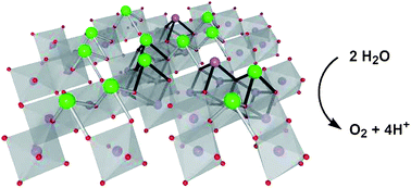 Graphical abstract: Synthetic manganese–calcium oxides mimic the water-oxidizing complex of photosynthesis functionally and structurally