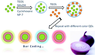 Graphical abstract: Multiplexed color encoded silica nanospheres prepared by stepwise encapsulating quantum dot/SiO2 multilayers