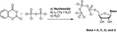Graphical abstract: Convenient synthesis of nucleoside 5′-triphosphates for RNA transcription