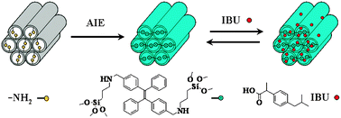 Graphical abstract: Mesoporous silica functionalized with an AIE luminogen for drug delivery