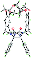 Graphical abstract: A molecular chalice with hydrophobic walls and a hydrophilic rim: self-assembly and complexation properties