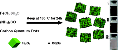 Graphical abstract: Fe2O3/carbon quantum dots complex photocatalysts and their enhanced photocatalytic activity under visible light