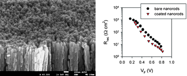 Graphical abstract: Origin of efficiency enhancement in Nb2O5 coated titanium dioxide nanorod based dye sensitized solar cells