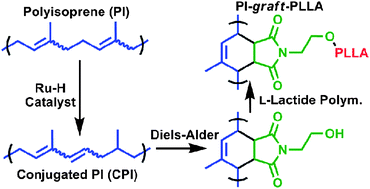 Graphical abstract: Catalytic synthesis and post-polymerization functionalization of conjugated polyisoprene