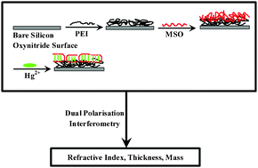 Graphical abstract: Dual polarisation interferometry for real-time, label-free detection of interaction of mercury(ii) with mercury-specific oligonucleotides