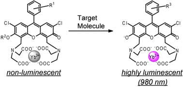 Graphical abstract: A practical strategy to create near-infrared luminescent probes: conversion from fluorescein-based sensors