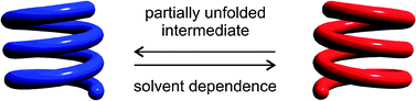 Graphical abstract: Solvent dependence of helix stability in aromatic oligoamide foldamers