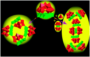 Graphical abstract: Poly(polyoxometalate)s assembled by {Ni6PW9} units: from ring-shaped Ni24-tetramers to rod-shaped Ni40-octamers