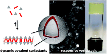 Graphical abstract: Dynamic covalent assembly of stimuli responsive vesicle gels